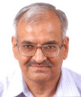 Mr Bhushan L Punani